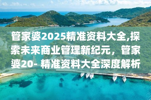 管家婆2025精准资料大全,探索未来商业管理新纪元，管家婆20- 精准资料大全深度解析