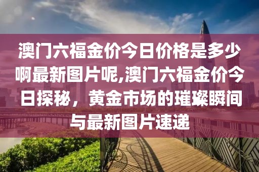 澳门六福金价今日价格是多少啊最新图片呢,澳门六福金价今日探秘，黄金市场的璀璨瞬间与最新图片速递