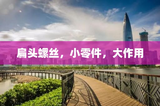 扁头螺丝，小零件，大作用