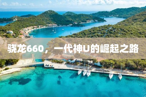 骁龙660，一代神U的崛起之路