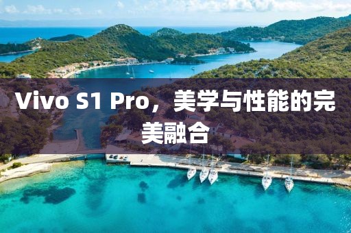 Vivo S1 Pro，美学与性能的完美融合