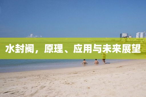 水封阀