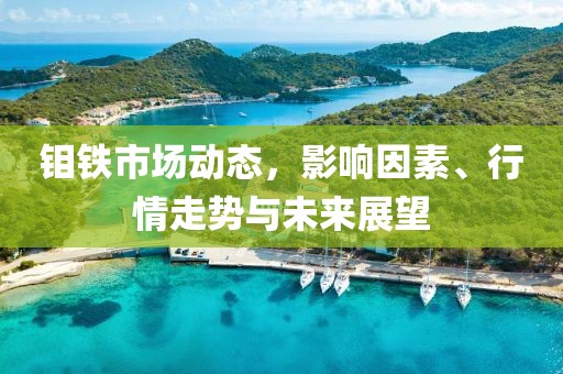 钼铁市场动态，影响因素、行情走势与未来展望