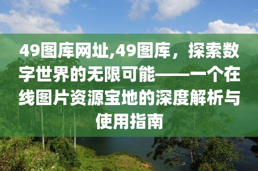 49图库网址,49图库，探索数字世界的无限可能——一个在线图片资源宝地的深度解析与使用指南