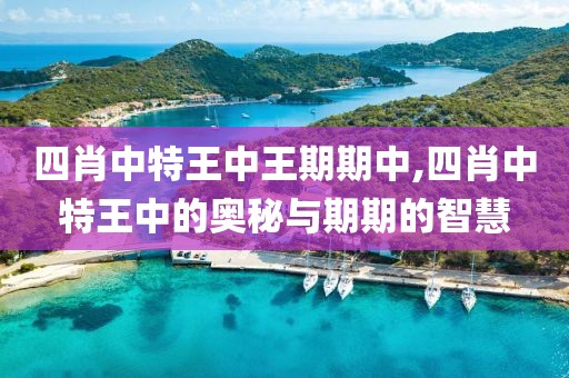 四肖中特王中王期期中,四肖中特王中的奥秘与期期的智慧