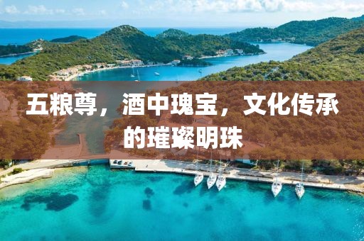 五粮尊，酒中瑰宝，文化传承的璀璨明珠