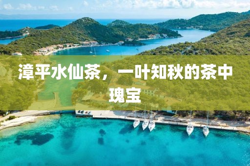 漳平水仙茶，一叶知秋的茶中瑰宝