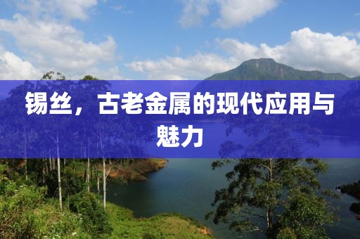 锡丝，古老金属的现代应用与魅力