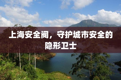 上海安全阀，守护城市安全的隐形卫士