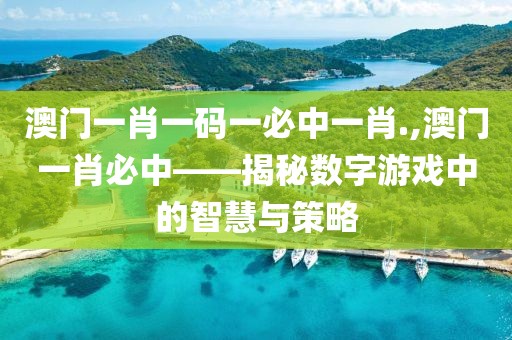 澳门一肖一码一必中一肖.,澳门一肖必中——揭秘数字游戏中的智慧与策略