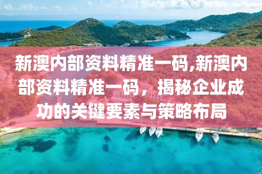 新澳内部资料精准一码,新澳内部资料精准一码，揭秘企业成功的关键要素与策略布局