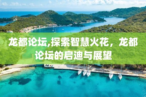 龙都论坛,探索智慧火花，龙都论坛的启迪与展望