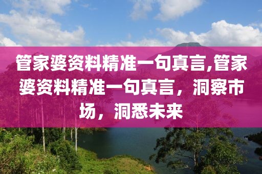 管家婆资料精准一句真言,管家婆资料精准一句真言，洞察市场，洞悉未来