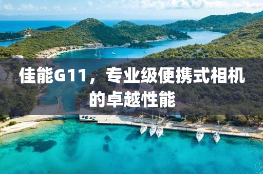 佳能G11，专业级便携式相机的卓越性能