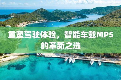 重塑驾驶体验，智能车载MP5的革新之选
