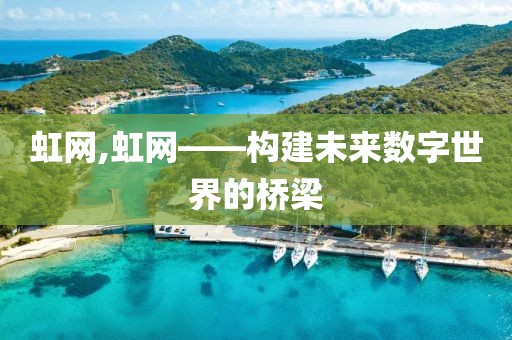 虹网,虹网——构建未来数字世界的桥梁