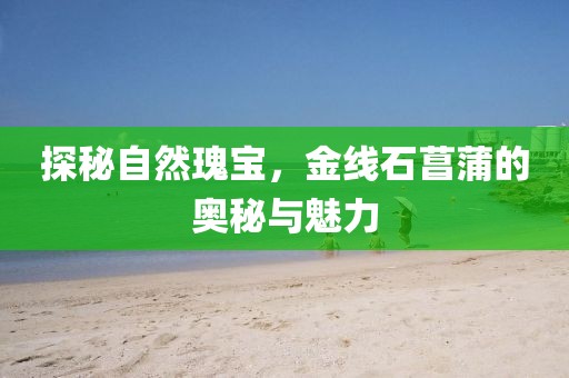 探秘自然瑰宝，金线石菖蒲的奥秘与魅力