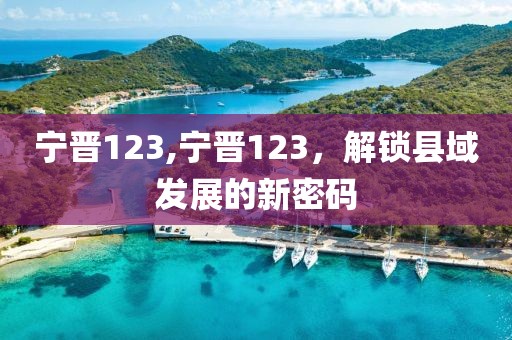 宁晋123,宁晋123，解锁县域发展的新密码