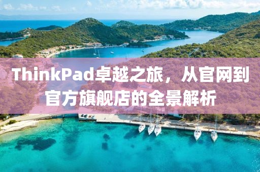 ThinkPad卓越之旅，从官网到官方旗舰店的全景解析