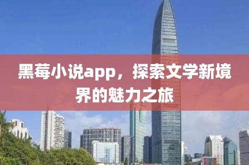 黑莓小说app，探索文学新境界的魅力之旅
