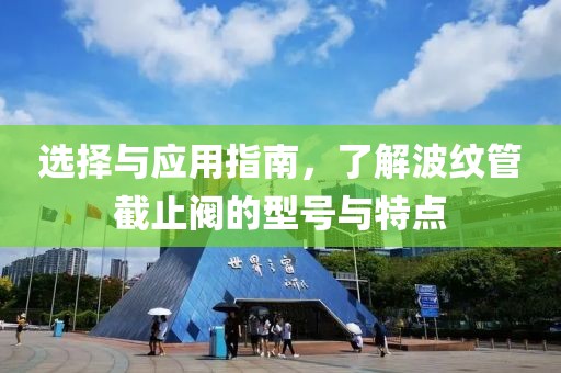 选择与应用指南，了解波纹管截止阀的型号与特点