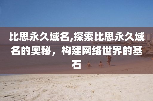 比思永久域名,探索比思永久域名的奥秘，构建网络世界的基石