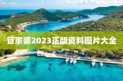 管家婆2023正版资料图片大全