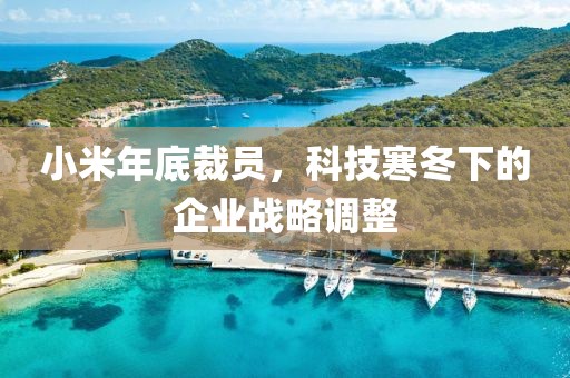 小米年底裁员，科技寒冬下的企业战略调整