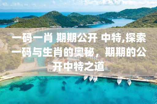 一码一肖 期期公开 中特,探索一码与生肖的奥秘，期期的公开中特之道