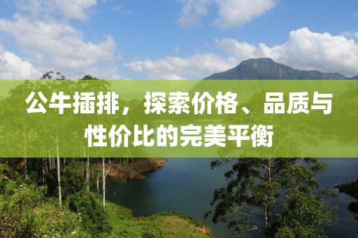 性价比 第64页