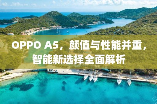 OPPO A5，颜值与性能并重，智能新选择全面解析
