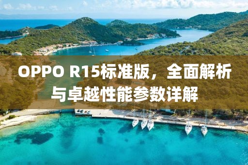 OPPO R15标准版