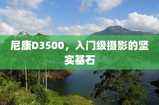 2025年1月 第50页