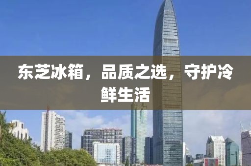 东芝冰箱，品质之选，守护冷鲜生活