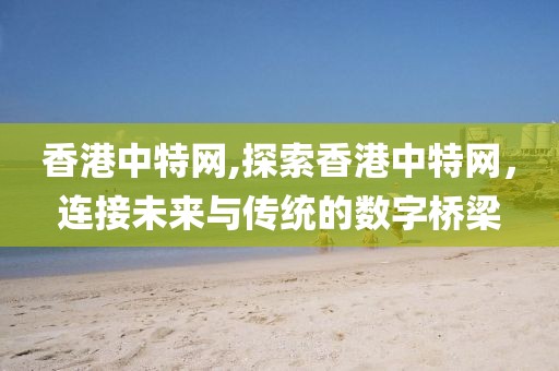 香港中特网,探索香港中特网，连接未来与传统的数字桥梁