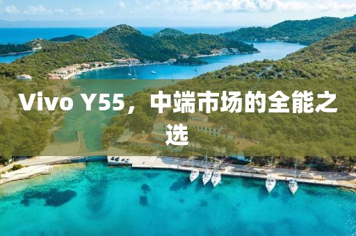 Vivo Y55，中端市场的全能之选