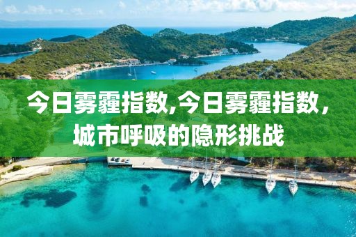 今日雾霾指数,今日雾霾指数，城市呼吸的隐形挑战