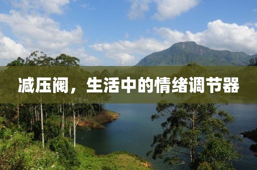 情绪调节