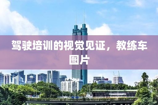 驾驶培训的视觉见证，教练车图片