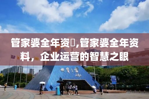 管家婆全年资枓,管家婆全年资料，企业运营的智慧之眼