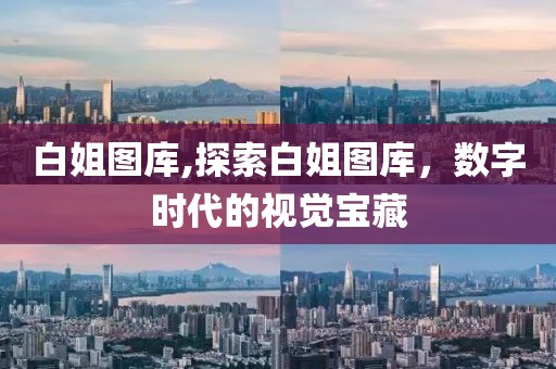 白姐图库,探索白姐图库，数字时代的视觉宝藏