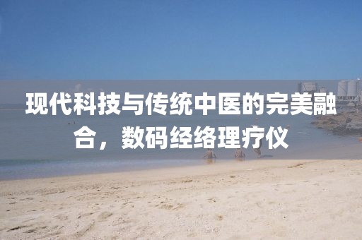 现代科技与传统中医的完美融合，数码经络理疗仪