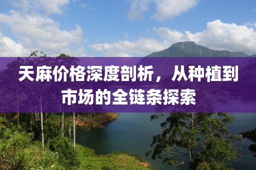 天麻价格深度剖析，从种植到市场的全链条探索