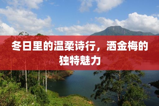 冬日里的温柔诗行，洒金梅的独特魅力