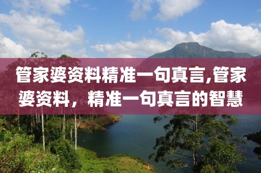 管家婆资料精准一句真言,管家婆资料，精准一句真言的智慧
