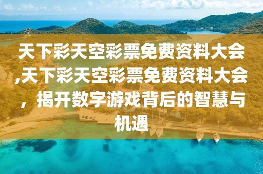 天下彩天空彩票免费资料大会,天下彩天空彩票免费资料大会，揭开数字游戏背后的智慧与机遇