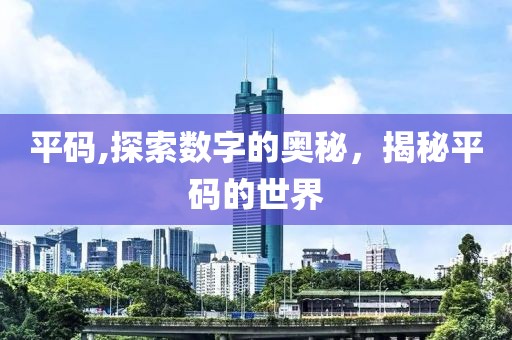 平码,探索数字的奥秘，揭秘平码的世界