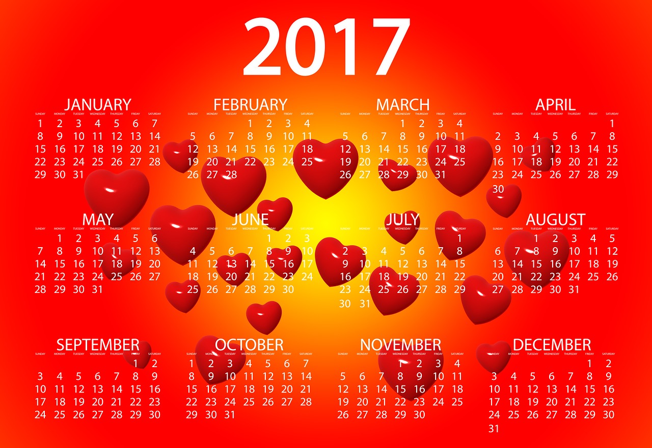 365每一天免费论坛,365每一天，免费论坛的无限可能